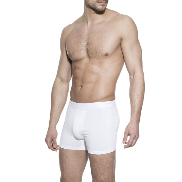 boxer briefs for men