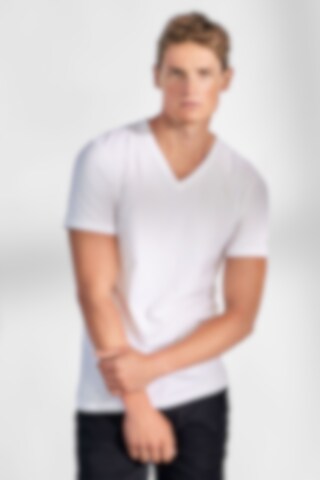 Mens White V Neck T Shirt, Packaging Type: Packet at Rs 120/piece
