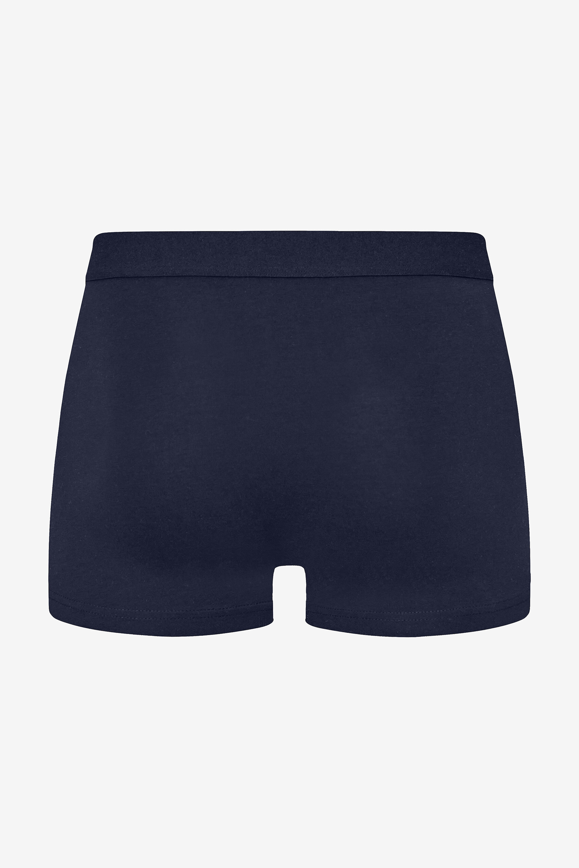 3-Pack Trunk